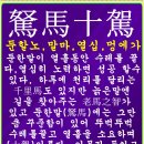 모란이피기까지 이미지