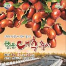 성족농장 Daum카페