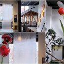 주식회사 비손 | 캐나다 퀘벡주 셔브룩 자연과학박물관 관람후기