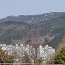 운선생 이미지