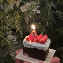 요케이크 이미지