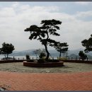 녹진무궁화동산 이미지