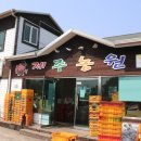 제주 특산물 한라봉! 제주농원에서 저렴하게 구입!