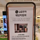 신세계숙녀복 - 사하구 | 서울 전시 12월 전시회 LG 웨딩박람회 강남신세계백화점