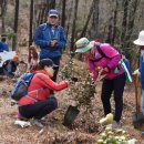 희망나무심기2 이미지