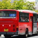 세운버스 이미지