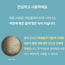 신생아 육아 필수템-리빙웰 베이비스타 4in1 스팀 젖병소독기 사용 후기, 추천 이유