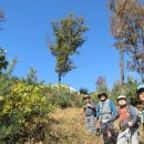 공원관리사무소 이미지