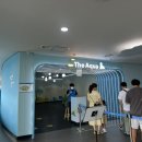 루루태권도장 이미지