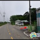 과실 및 그 외 채소 절임식품 제조업