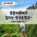 제주도관광 중문여행 중에 만난 제주미로공원, 그 이름은 중문미로파크