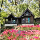 영인산자연휴양림 이미지