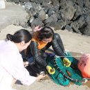 금능맛차롱 협동조합 이미지