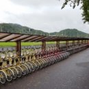 은행나무길 대여소 이미지