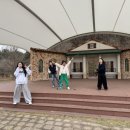 삼손태권도 이미지