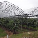 웅희농장 이미지