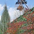 꽃밭머리 스테이 이미지