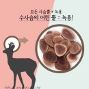 장수녹용 이미지