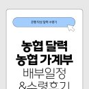 구성농업협동조합 | 2026년 농협 달력 배부일정 농협 가계부 실시간 수령후기: 구성 디자인 총정리