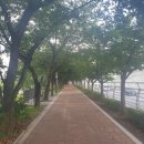 연현초등학교 | ♤안양천상류코스 걷기(독산역-범계역)