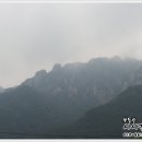 진산자연휴양림캠핑장 이미지