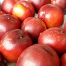 고죽1리 이미지