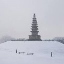 충주 가볼만한 곳 / 중앙탑 사적공원 설경은 아름다웠다 이미지