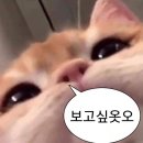 송강제면소강동구청 | 막,내가 다녀온 막내가 말아주는 콘서트