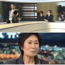 깍쟁이 이미지