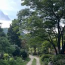 다올 핀란드 펜션 이미지