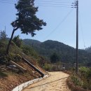 숙원농장 이미지