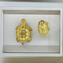 가야농협숭산지점 | [종로3가 금은방] 국제표준금거래소 골드바&amp;금목걸이 후기