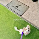하이오커피남양주