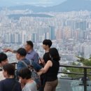 N부동산공인중개사사무소 이미지