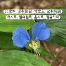 옥척지 네이버블로그