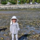 설리어촌체험휴양마을 이미지