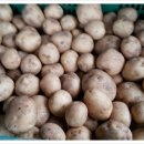 송함농장 이미지