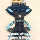 앞섬상회 | 내돈내산 러프웨어 플레그라인 하네스 바솔트그레이 (하이앤라이트와 차별점)