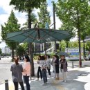 그늘막72 이미지