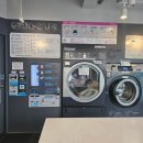 인제빨래방 | 인제 빨래방 더런드리셀프빨래방 섬유유연제 향기 좋은 곳