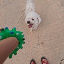 (주)멍비치