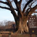 풍류농장 이미지