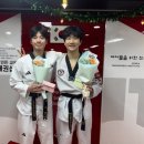 고려인성태권도 이미지