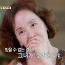 이미영 카카오 검색결과