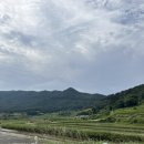 천년마중길 1코스 | [국내여행] 하동 남해 여행 3박 4일 여행 코스 - 1,2일차(남해 오션블루 펜션, 정금차밭, 쌍계사, 화개...