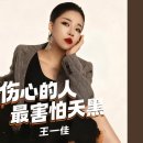 최효림(崔晓琳, Cui Xiaolin)-상심적인최해파천흑(伤心的人最害怕天黑)'* 이미지