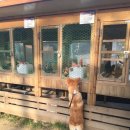 정읍녹두장군(상행)휴게소 이미지