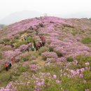 제59차 5월정기산행 합천 황매산(100대명산)환상의 철쭉 이미지