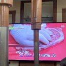 한우농장 이미지