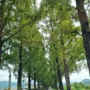 제크와 돈까스 이미지